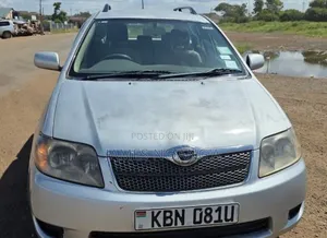 Toyota Corolla Fielder 2008 Silver