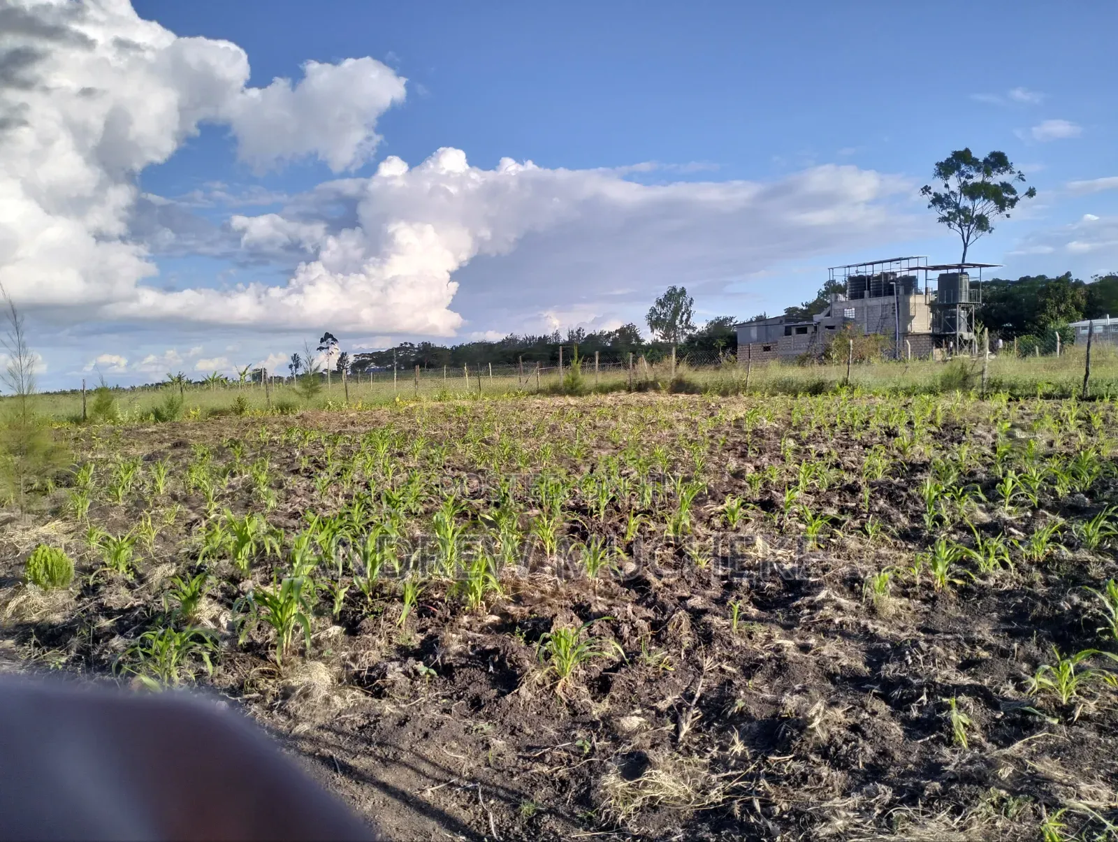 1/4 Acre Land