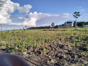 1/4 Acre Land