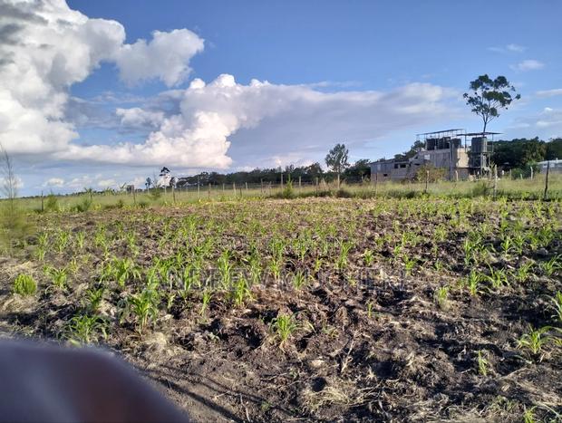 1/4 Acre Land - thumbnail 2