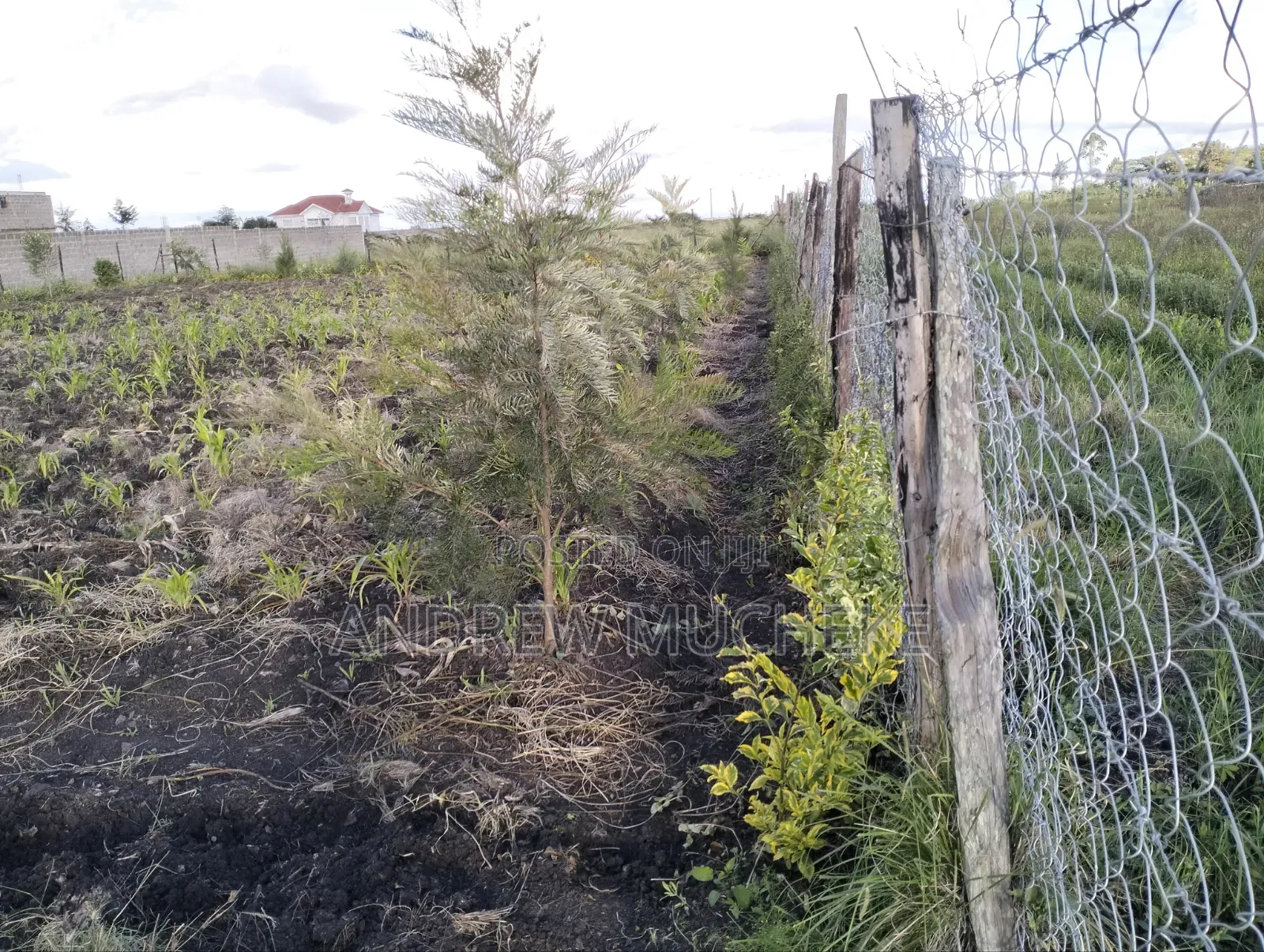 1/4 Acre Land