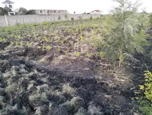 1/4 Acre Land