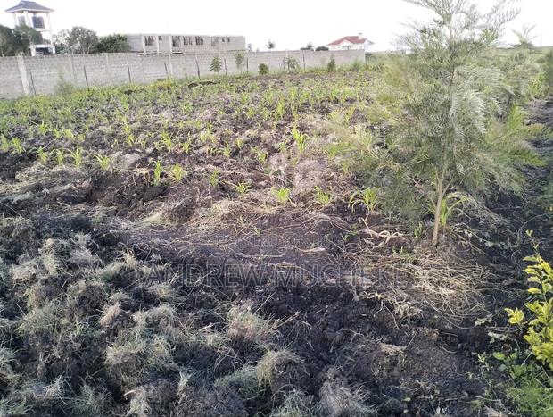 1/4 Acre Land - thumbnail 4