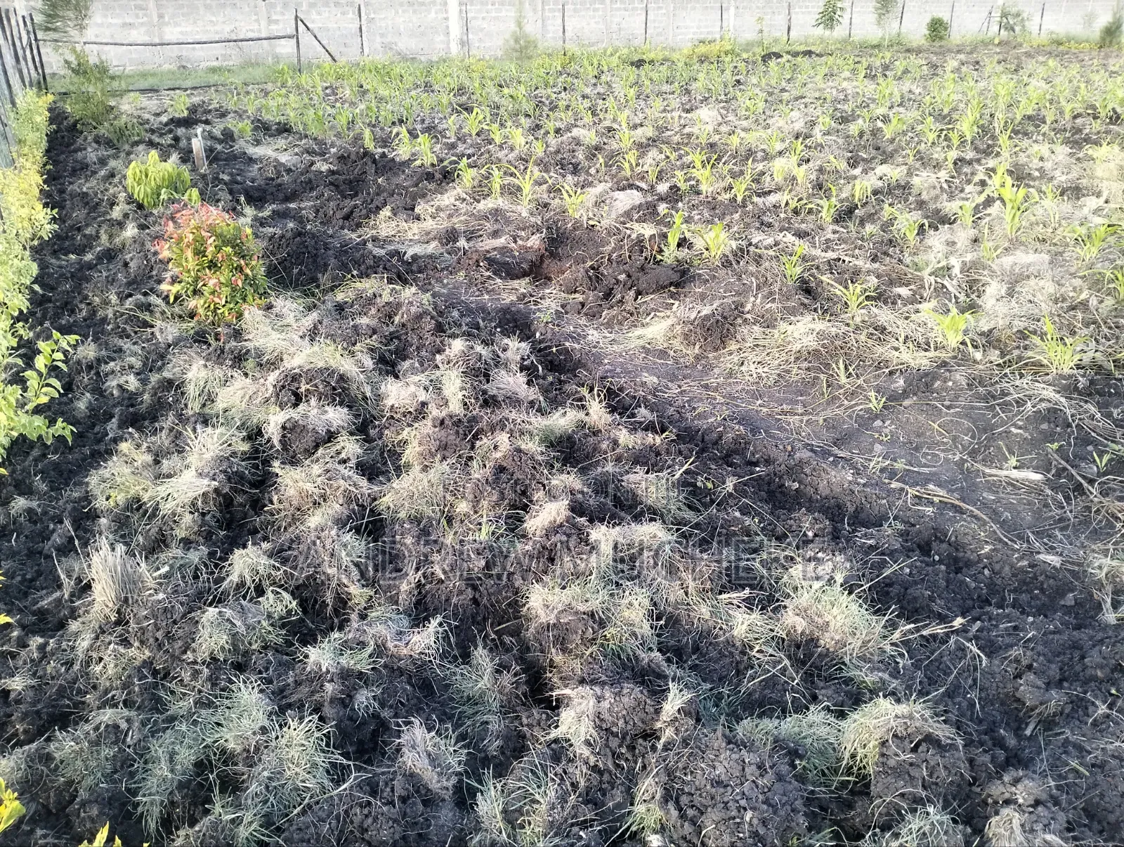 1/4 Acre Land