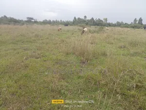 2acres Kabati Endarasha Kieni Nyeri.