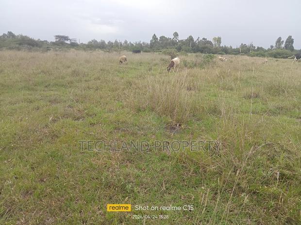 2acres Kabati Endarasha Kieni Nyeri.