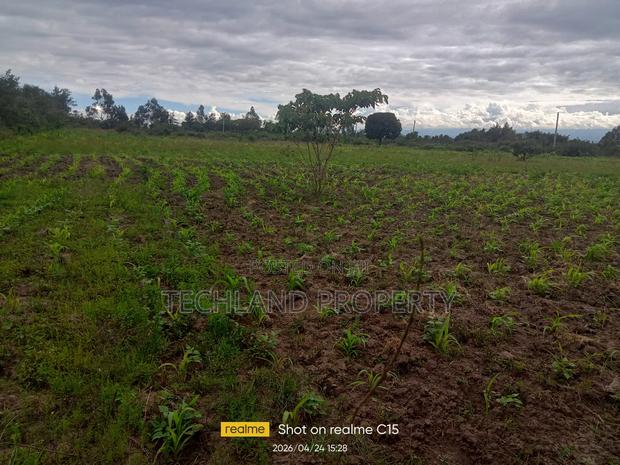 2acres Kabati Endarasha Kieni Nyeri. - thumbnail 2