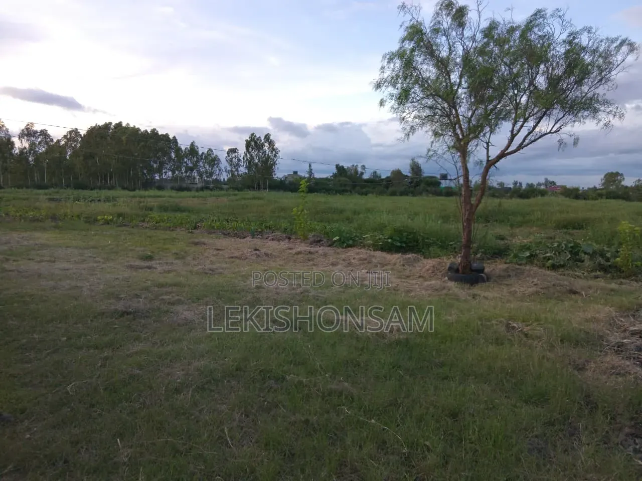 Kitengela-Isinya Land for Sale