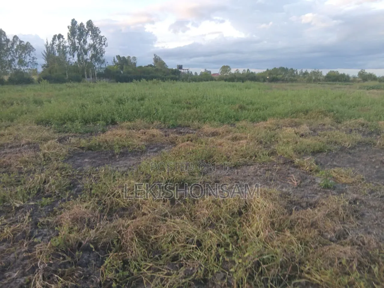 Kitengela-Isinya Land for Sale
