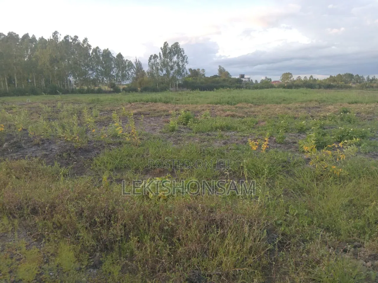 Kitengela-Isinya Land for Sale