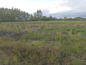 Kitengela-Isinya Land for Sale