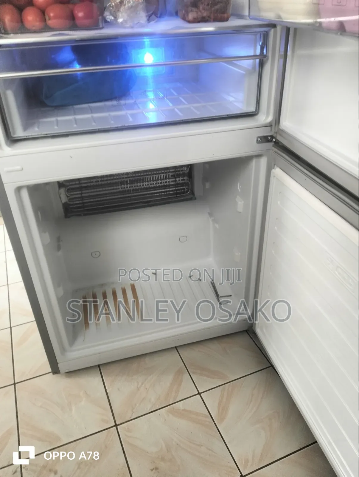 Fridge Repair/Gas Refill