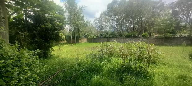 Property For Sale In Oloolua - thumbnail 3