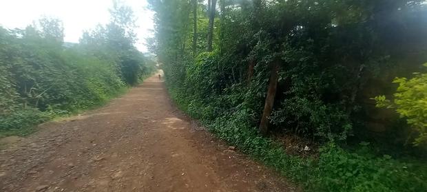 Property For Sale In Oloolua - thumbnail 7