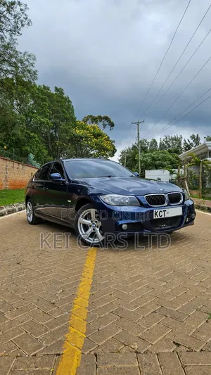 BMW 318i 2011 Blue