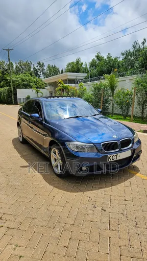 BMW 318i 2011 Blue