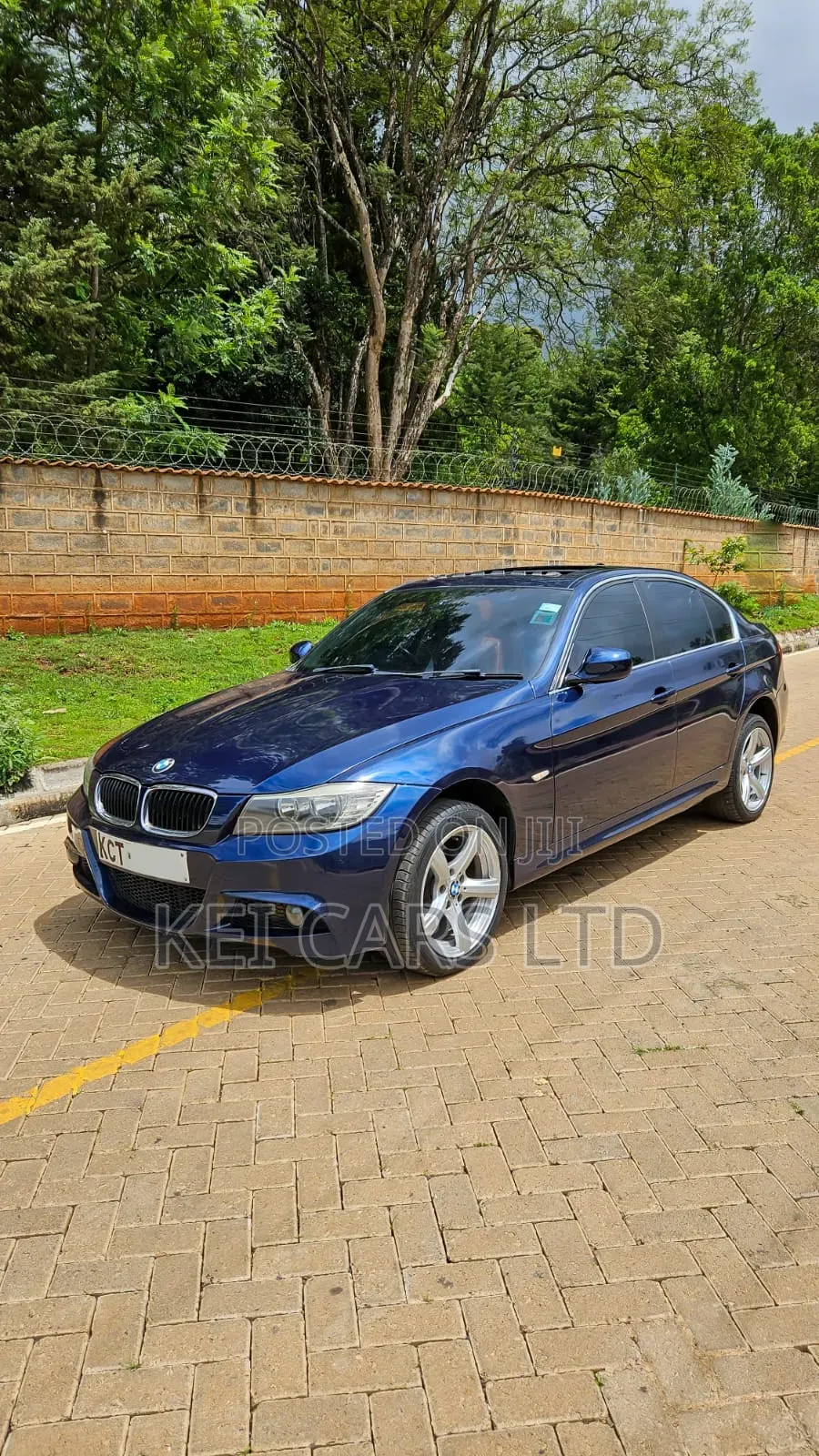 BMW 318i 2011 Blue