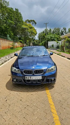 BMW 318i 2011 Blue