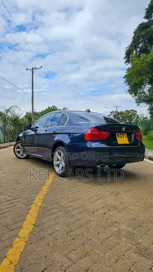 BMW 318i 2011 Blue