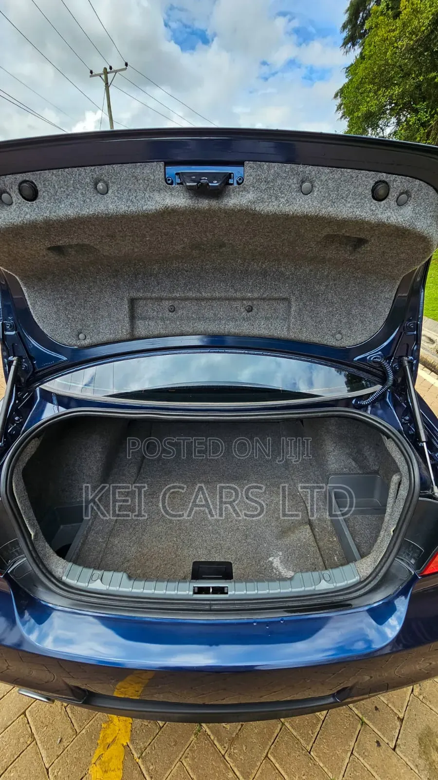 BMW 318i 2011 Blue