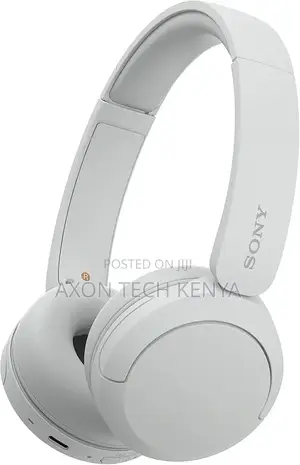 Sony Wh-Ch520