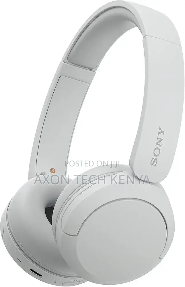 Sony Wh-Ch520