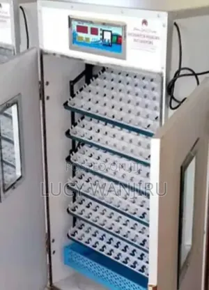 Readily Available 528 Egg Incubator