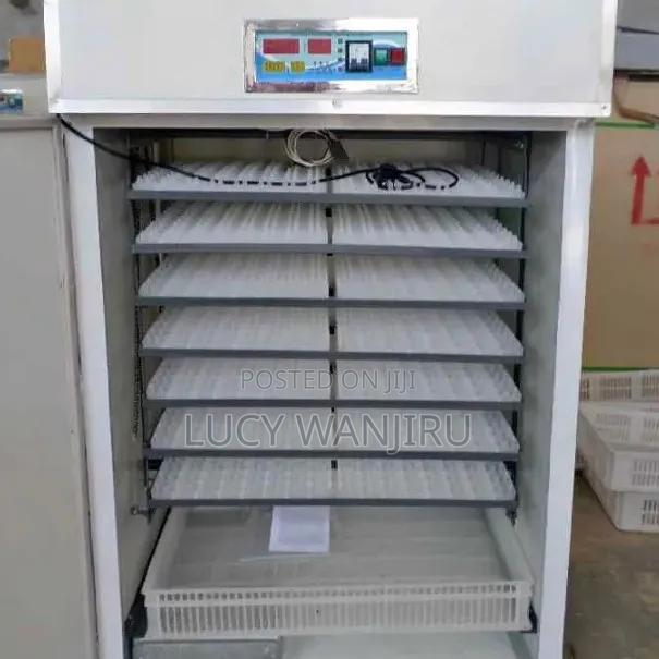 High Quality Egg Incubator