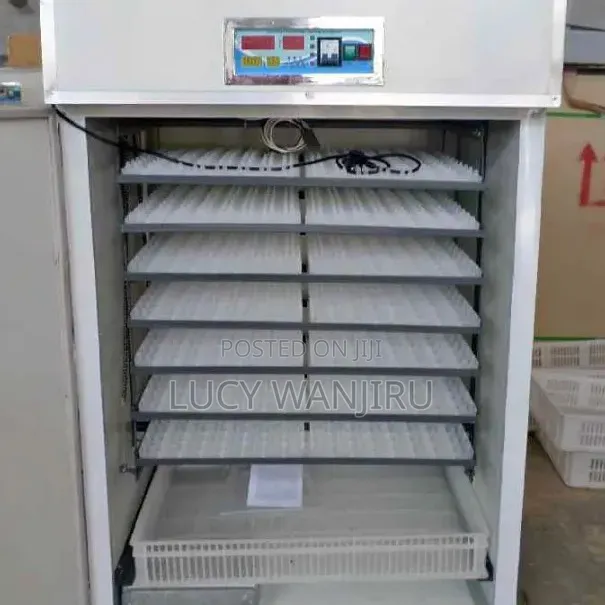High Quality Egg Incubator
