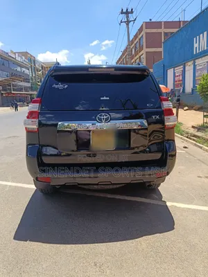 Prado For Hire