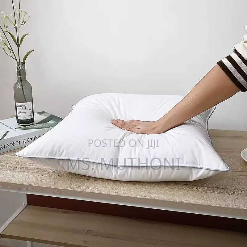 A Pair (3) Ultra-Soft White Goose Cotton Pillows