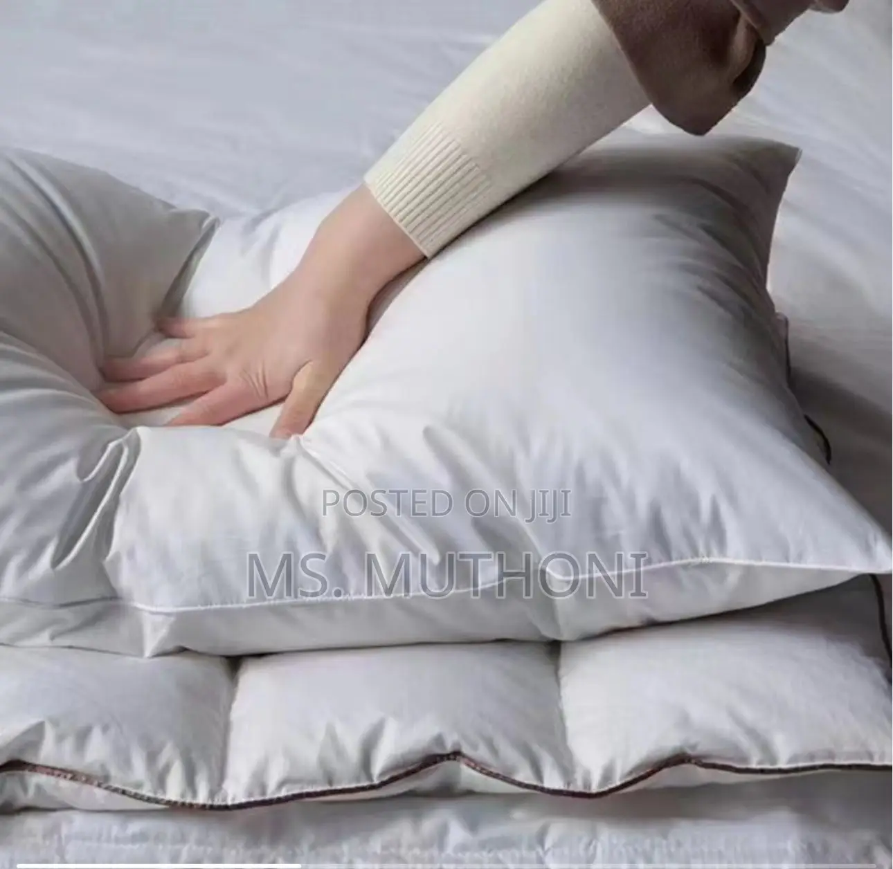 A Pair (3) Ultra-Soft White Goose Cotton Pillows