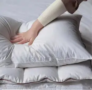 A Pair (3) Ultra-Soft White Goose Cotton Pillows