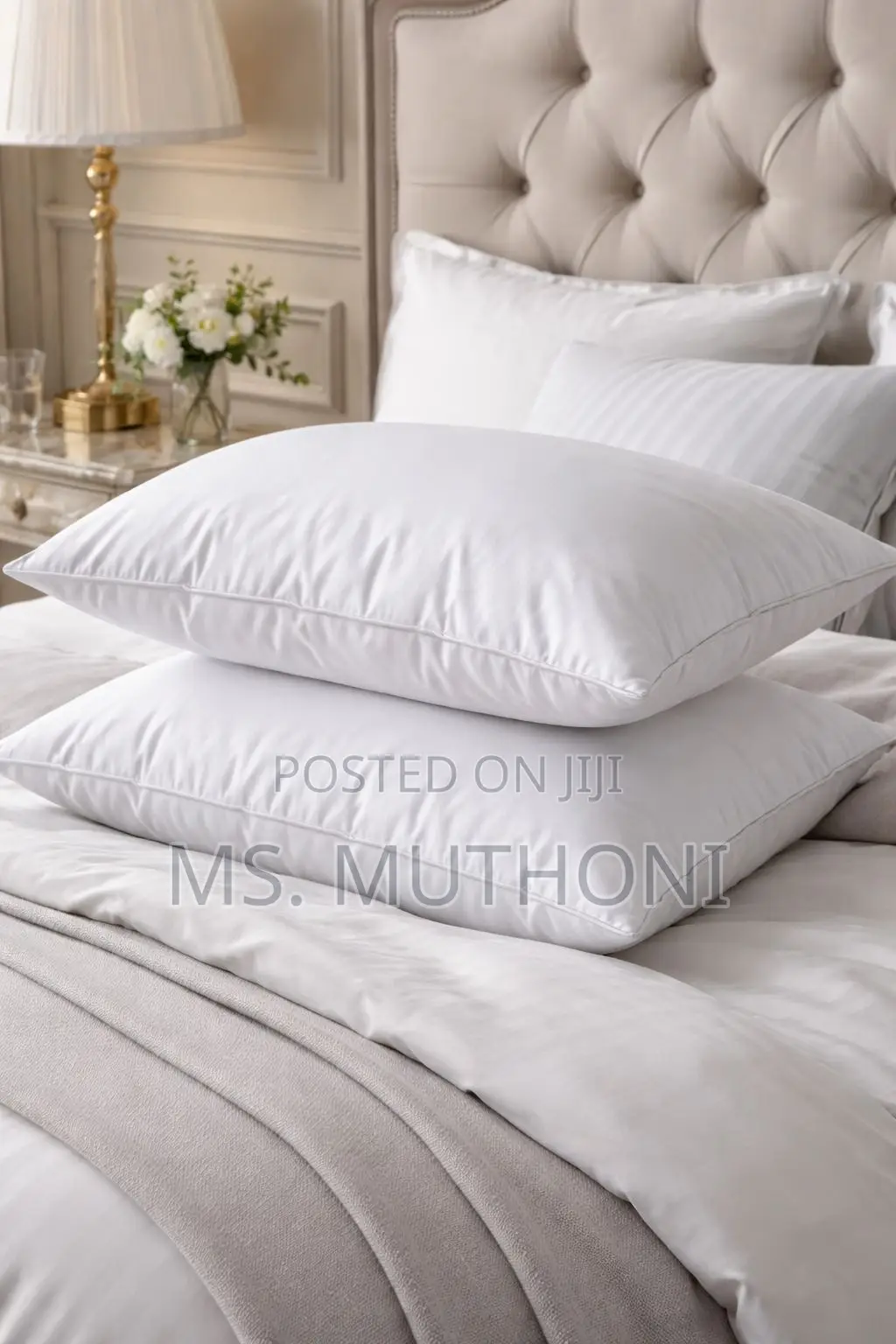 A Pair (3) Ultra-Soft White Goose Cotton Pillows