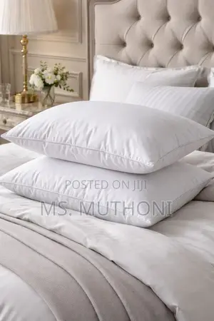 A Pair (3) Ultra-Soft White Goose Cotton Pillows
