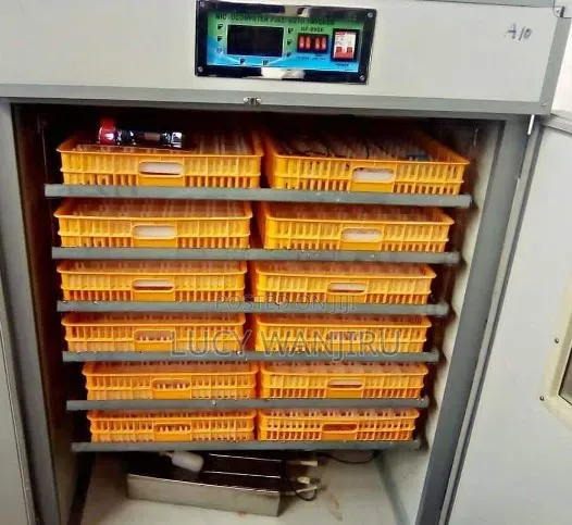Well Performing Egg Incubator
