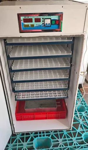Readily Available Egg Incubator