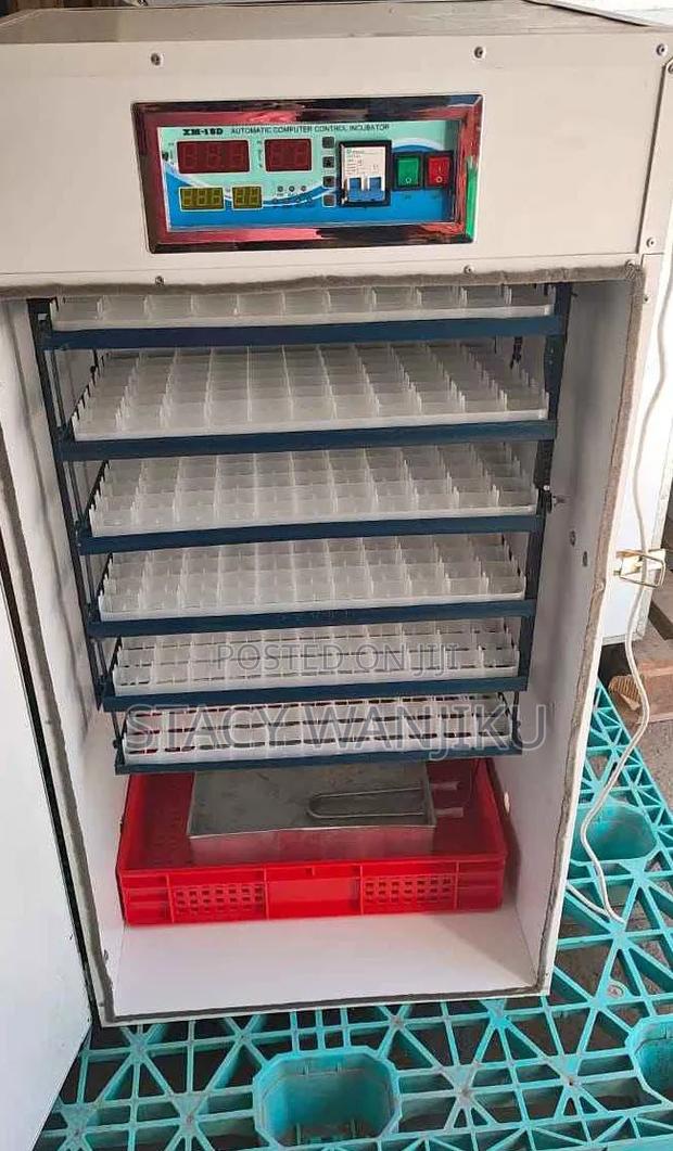 Readily Available Egg Incubator