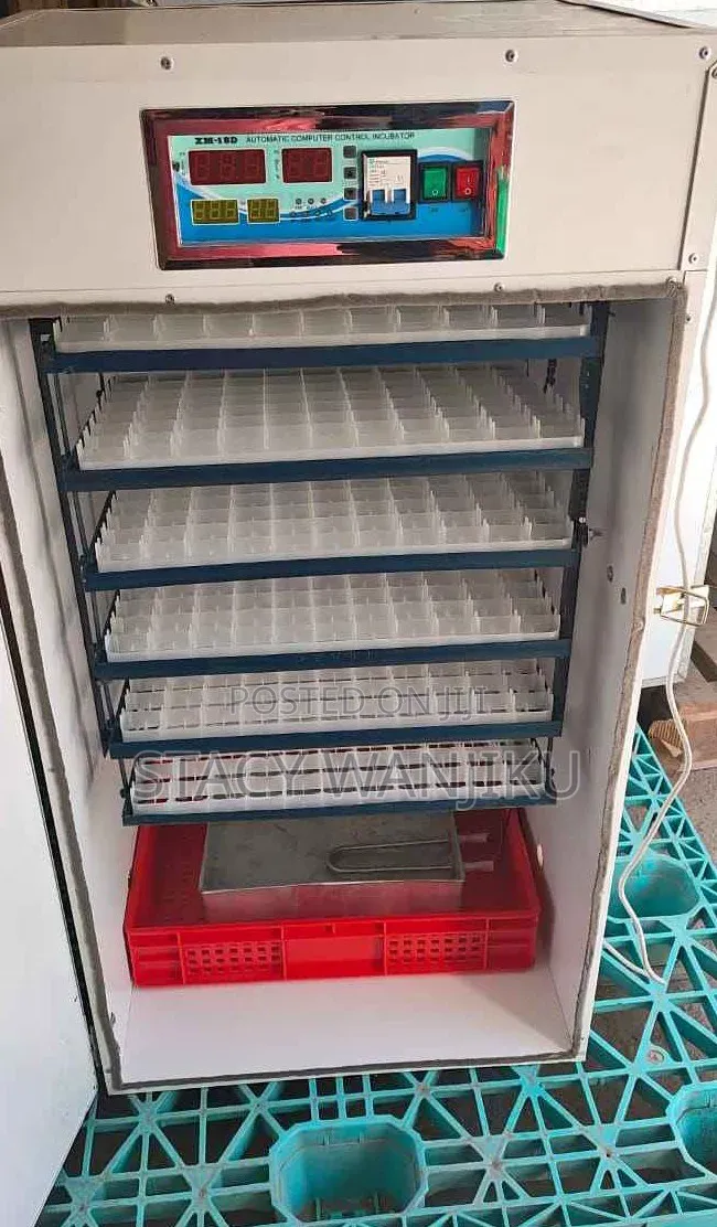 Readily Available Egg Incubator