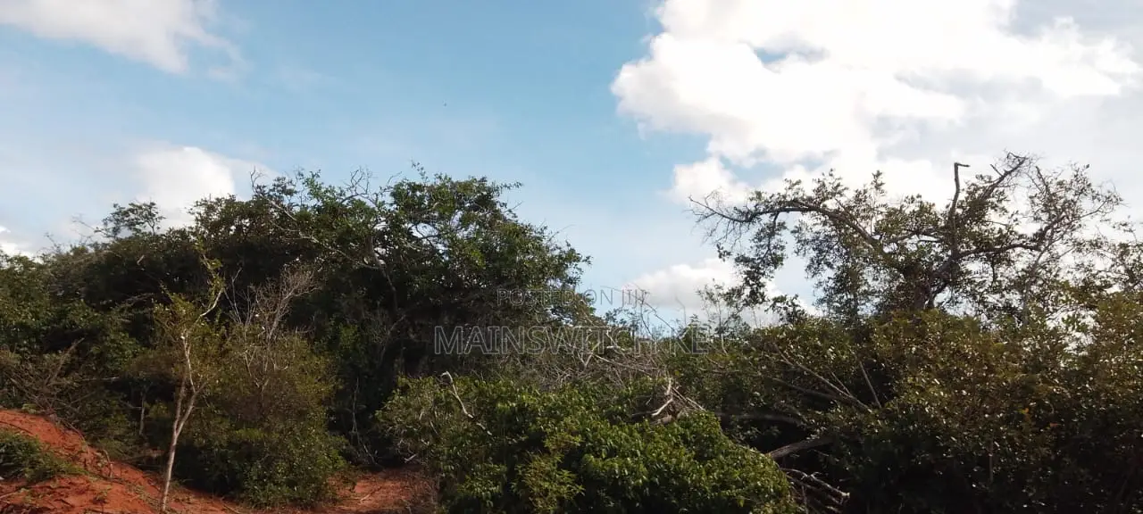 430 Acres With Adjudication Numbers for Sale in Viriko Marafa