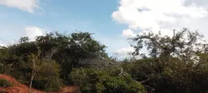 430 Acres With Adjudication Numbers for Sale in Viriko Marafa
