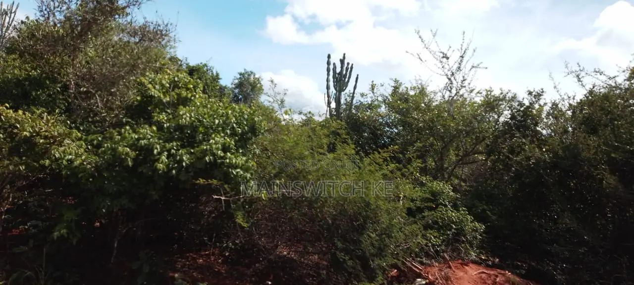 430 Acres With Adjudication Numbers for Sale in Viriko Marafa