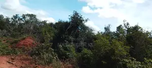 430 Acres With Adjudication Numbers for Sale in Viriko Marafa