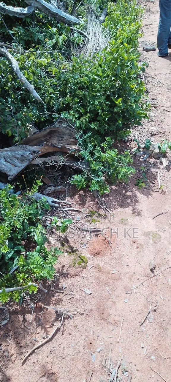 430 Acres With Adjudication Numbers for Sale in Viriko Marafa