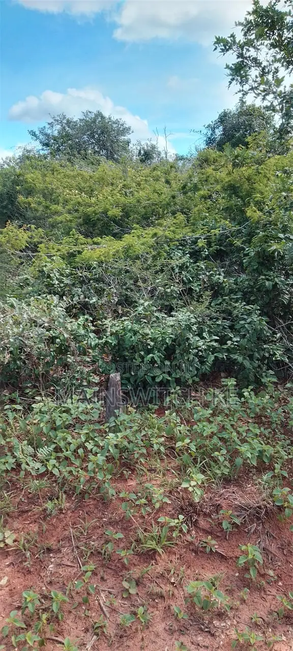 430 Acres With Adjudication Numbers for Sale in Viriko Marafa