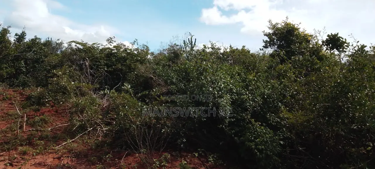 430 Acres With Adjudication Numbers for Sale in Viriko Marafa