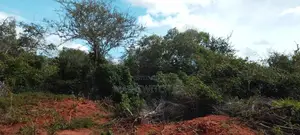 430 Acres With Adjudication Numbers for Sale in Viriko Marafa