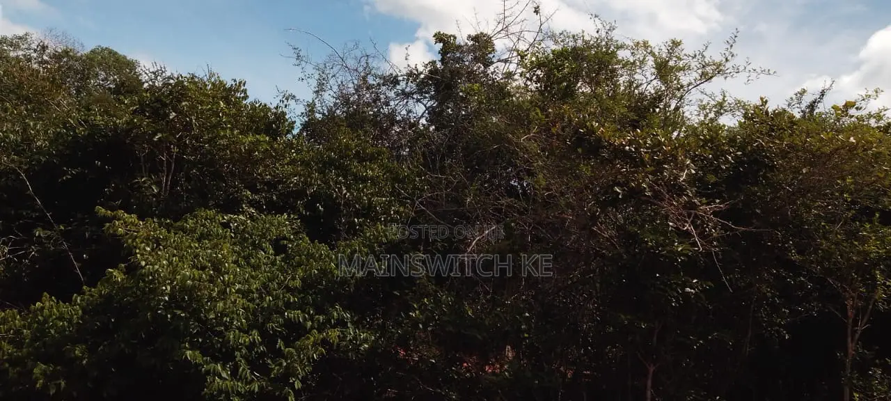 430 Acres With Adjudication Numbers for Sale in Viriko Marafa