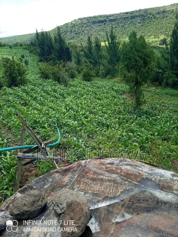 Nyeri Nyahururu Prime Land - thumbnail 2