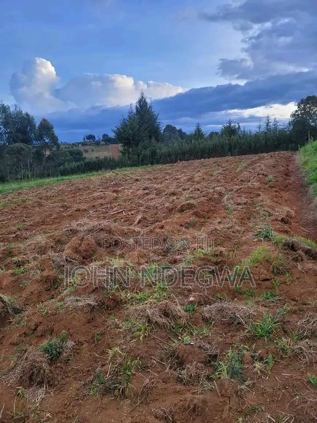 Kikuyu Prime Land - thumbnail 3